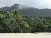 Cape Tribulation